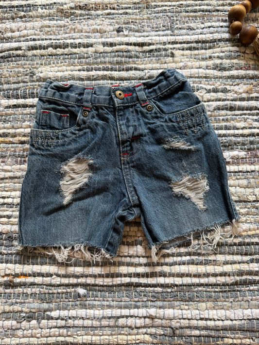 2T Distressed Denim